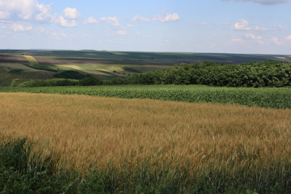 Imagini semnificative din comuna Viisoara, judetul Botosani - sediul Primariei - panorama