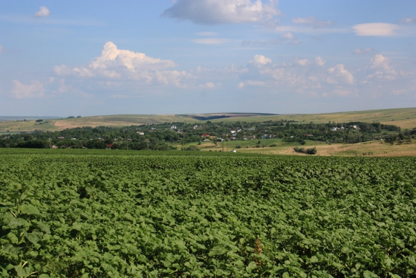 Imagini semnificative din comuna Viisoara, judetul Botosani - sediul Primariei - panorama