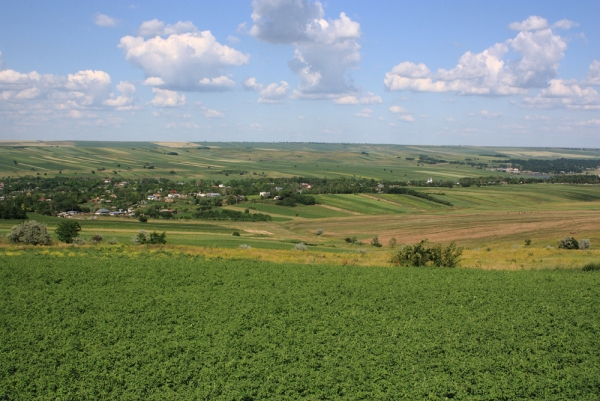 Imagini semnificative din comuna Viisoara, judetul Botosani - sediul Primariei - panorama