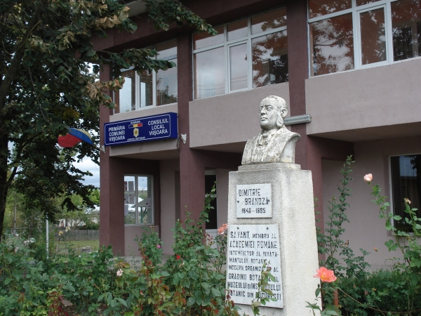 Monument inchinat marelui savant, Dimitrie Brandza (1846 - 1895)- Primaria Viisoara, judetul Botosani