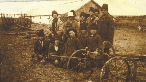 Bivol, 1906 - La semanat